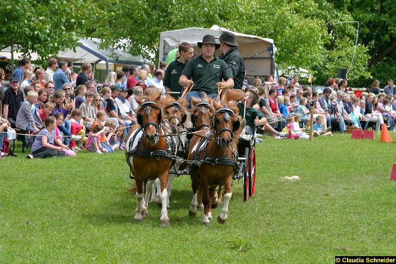 Ponytag Bosbach 2012-005.jpg